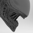 5.jpg Alien Xenomorph Bust 3D Print Stl Model Diorama