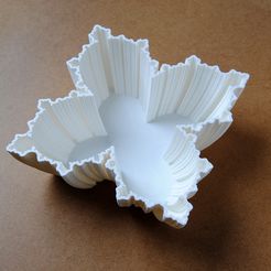 fbowlsegundo.jpg 3D-Datei Fractal Bowl Oktober・Modell zum Herunterladen und 3D-Drucken