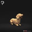 Dachshund-Miniature-Smooth-Haired-Pose-08-Dog-3D-Print-1s.jpeg Dachshund Miniature Smooth Haired Pose 08