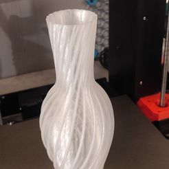 IMG_20240208_185.jpg Vase