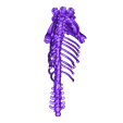 Body3er.stl STL file Unknown Creatures - Cerberus Skeleton・3D printer model to download