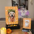 564622485_32877012308552713_8006007410248729761_n.jpg Pet altar