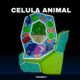 TRIDIBOT-1.png Animal cell