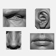 02.jpg ANATOMY PACK - FACE PARTS