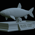 Grass-carp-statue-37.png fish grass carp / Ctenopharyngodon idella statue detailed texture for 3d printing
