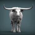 Texas-Longhorn7.jpg Texas Longhorn 3D-Druckmodell