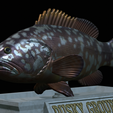 Dusky-grouper-22.png fish dusky grouper / Epinephelus marginatus statue detailed texture for 3d printing