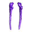 Cervical_ribs_03.obj Life size Citipati (Oviraptor) skull and cervical vertebrae