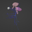 2.png 3D Model of Brain Stem and Cranial Nerves