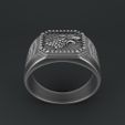 Stark_Ring3.jpg Spiel der Throne Haus Stark Ring