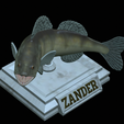zander-open-mouth-tocenej-17.png fish zander / pikeperch / Sander lucioperca trophy statue detailed texture for 3d printing
