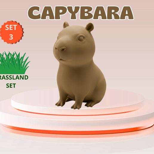 Cute Mini Capybara – Commercial