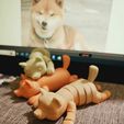 20230816_210414.jpg Articulated Shiba Inu - Plush Dog Flexi Print in Place