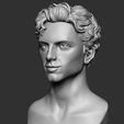 03.jpg Timothee Chalamet bust sculpture 3D print model