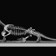 16.jpg BABY MUSSAURUS, POSE 3, FOR SCALE 1:1 PART 1 OF 3