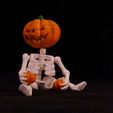 1696273563538.jpg Squelette Halloween articulé / Halloween skeleton articuled