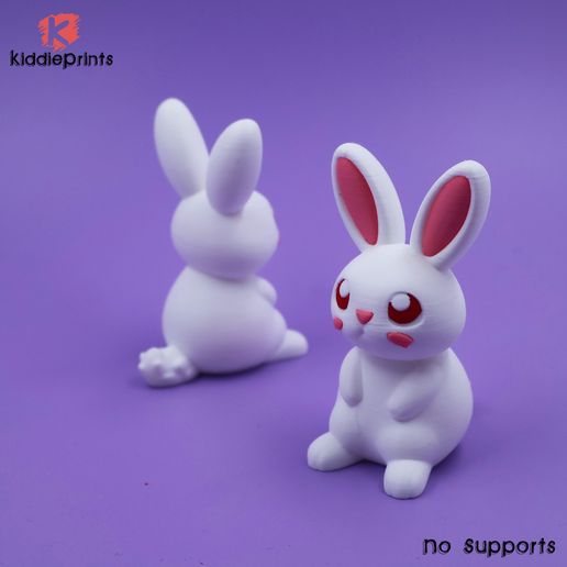 14.jpg lindo conejo diminuto ( Sin soportes)