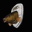 common-carp-11.png head trophy COMMON CARP (CYPRINUS CARPIO)open mouth statue 2 detailed texture for 3d printing