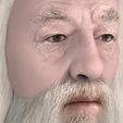 untitled.1752.jpg Dumbledore from Harry Potter bust for full color 3D printing