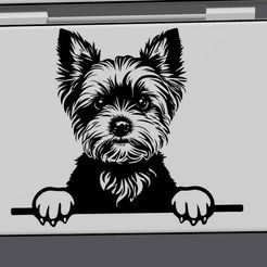 yorkshire-terrier-1.jpg Hinged Trinket Box - Yorkie
