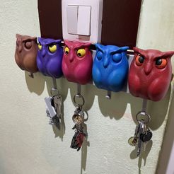 Just eyes for Owl - Wand-Schlüsselanhänger