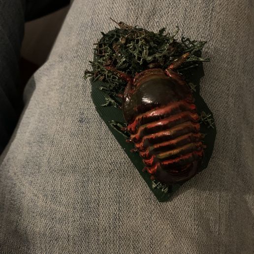 Cubaris Rubber Ducky Isopod Roly Poly