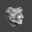 2021-04-27-22_39_49-Window.png DOG HEAD STAFFORSHIRE BULL TERRIER STAFFY PITBULL DOG .obj .stl