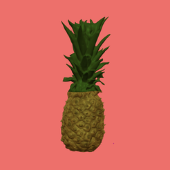 IMG_1197.png 3D Scanned Pineapple Model