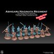 nag-reg-insta-promo-royfree.jpg Ashigaru Naginata Regiment Royalty Free Version