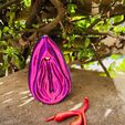 WhatsApp-Image-2023-08-25-at-19.15.41-3.jpeg Anatomical vagina, vulva and clitoris