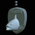 zander-head-trophy-20.png fish head trophy zander / pikeperch / Sander lucioperca open mouth statue detailed texture for 3d printing