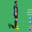 z3.jpg 3D Rigged Francesco Acerbi Inter Milan 2023