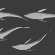 Quad.png Remora with Whaleshark Wall Art