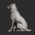 central-asian-shepherd-dog-3d-model-752bac28c8.jpg 3D-Datei Zentralasiatischer Hirtenhund 3D-Druckmodell・3D-Drucker-Vorlage zum herunterladen
