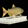 Golden-dorado-statue-11.png fish golden dorado / Salminus brasiliensis statue detailed texture for 3d printing
