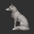 Fox-sitting12.jpg Fox 3D print model