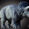 trike2.jpg Triceratops horridus V2