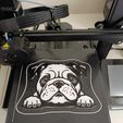 WhatsApp-Image-2024-01-27-at-13.03.34-2.jpeg Charming Bulldog Peekaboo Wall Art STL File for 3D Printing