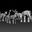 lo3.jpg Low poly animals pack for game unity3d and ue5