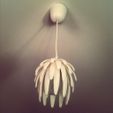 12038744_10206737403505107_4583306621543137975_o.jpg Flower Lamp