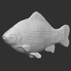 Salmon best STL files for 3D printer・247 models to download・Cults