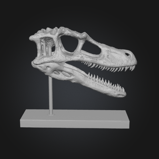 Captura-de-pantalla-2025-12-20-105725.png DINOSAURS SKULLS - PACK - 6 Models 3d