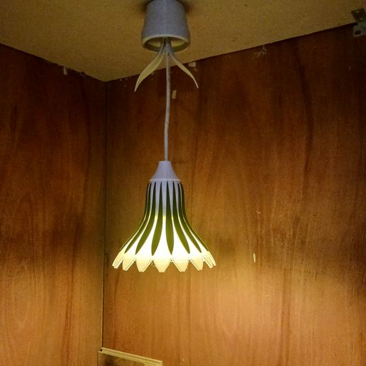 20241021_214305.jpg Flower Pendant Lamp Shade - Multi body