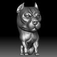 Bully2.jpg Pit Bull 3D STL file printable Bully model