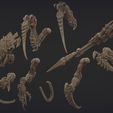 nids.1246.jpg GIGANTIC SPACE XENO SUPREME COMMANDER PART (HEADS HANDS) 1/2 FW STYLE