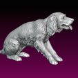 1.jpg Dog statue Spaniel