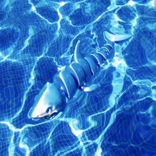 Shark_001.jpg Articulated Shark