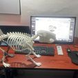 WhatsApp-Image-2025-11-16-at-11.55.24-1.jpeg capybara skeleton