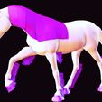 07.jpg DOWNLOAD HORSE 3D MODEL - American Quarter - animated for blender-fbx-unity-maya-unreal-c4d-3ds max - 3D printing HORSE