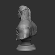 Preview9.png Файл 3D The Witcher Bust・3D модель для печати скачать